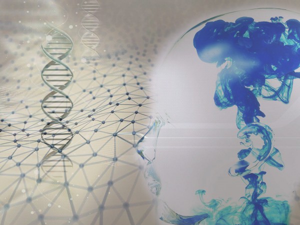 Научный взгляд: продуктивность