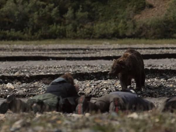Экалусуак. Таинственный хищник
