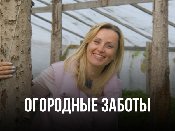 Огородные заботы