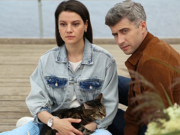 Женщина с котом и детективом (3)