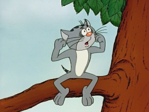 Котенок с улицы Лизюкова (2)