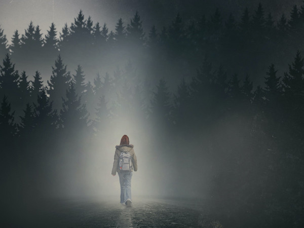 Девушка в тумане