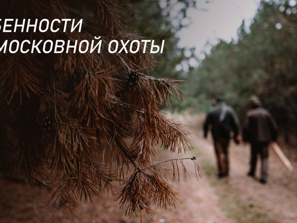 Особенности подмосковной охоты (2)