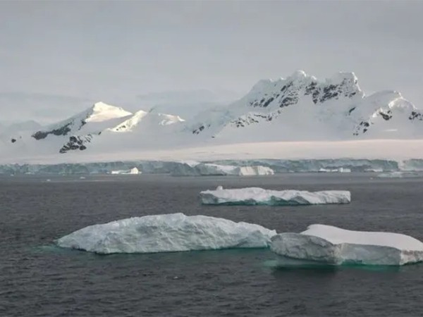 В ледяных просторах