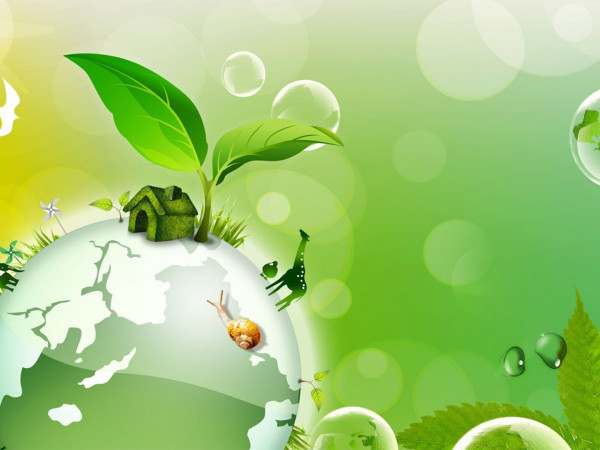 Инстинкты. Основной инстинкт