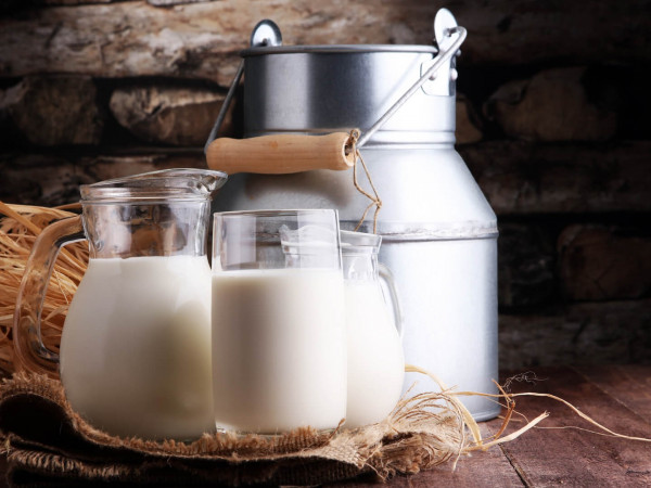 Молоко — яд или лекарство
