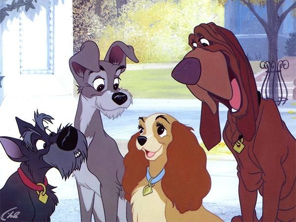 Леди и бродяга