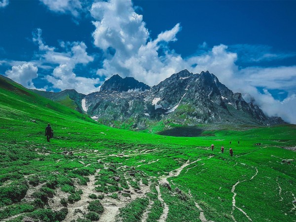 Лыжное приключение в Кашмире