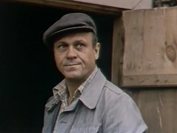 Год теленка (6)