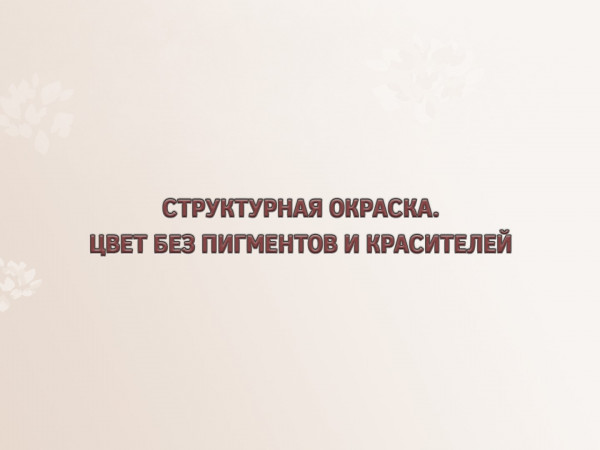 Структурная окраска. Цвет без пигментов и красителей