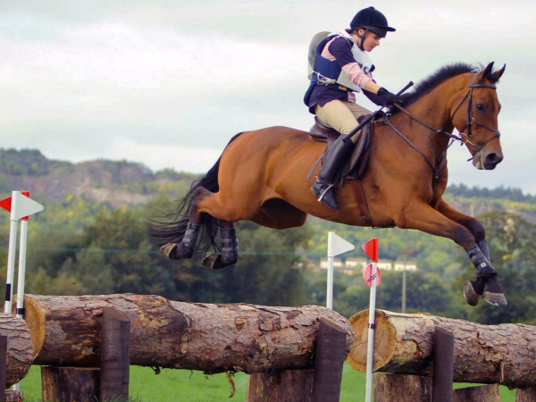 Бега. Большой Сибирский круг. Финал. Трансляция из Абакана