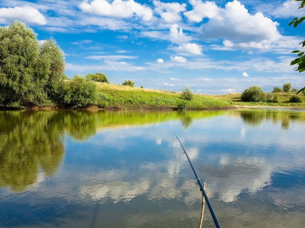 Рыбачим с вами