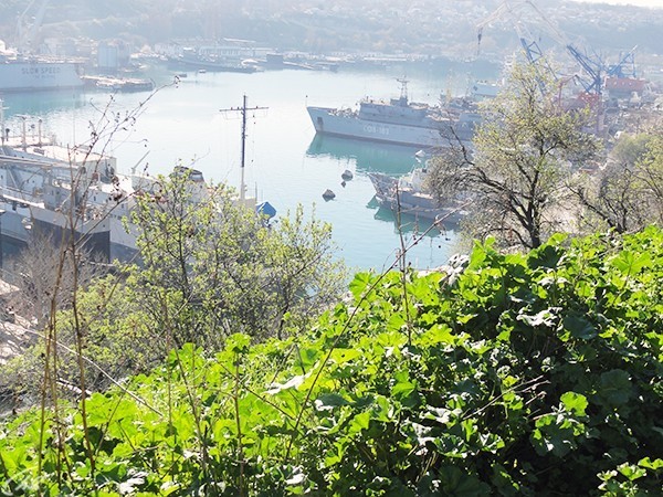 Битва за Крым