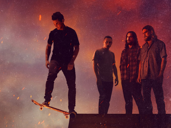 По волчьим законам