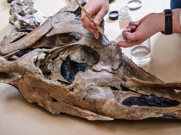 Тайны древней Земли (2)