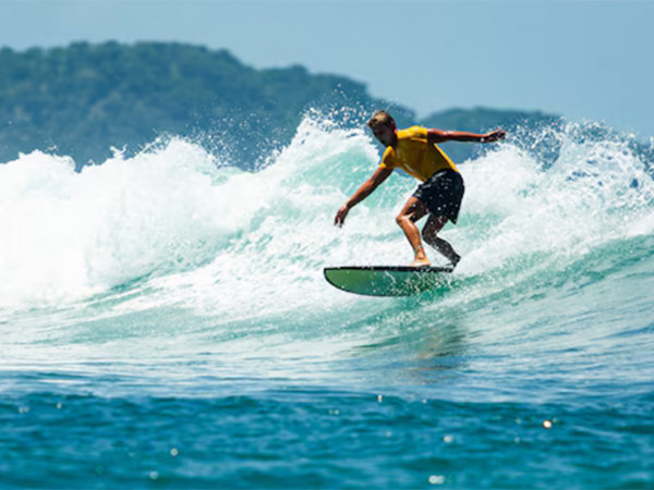 Сёрфинг, музыка и овцы на лугах