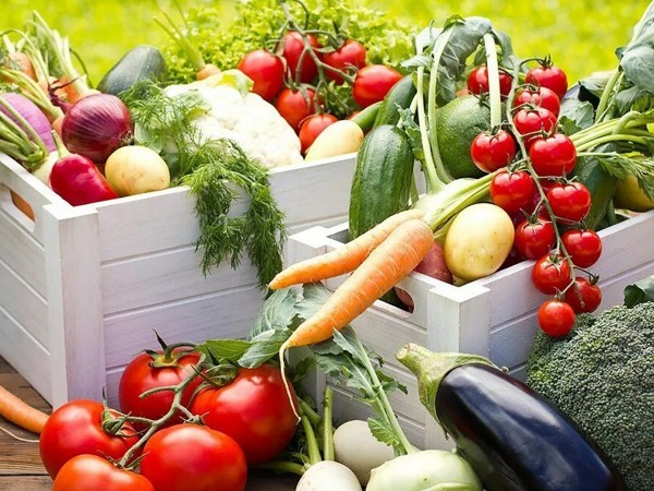 Огород круглый год (2)