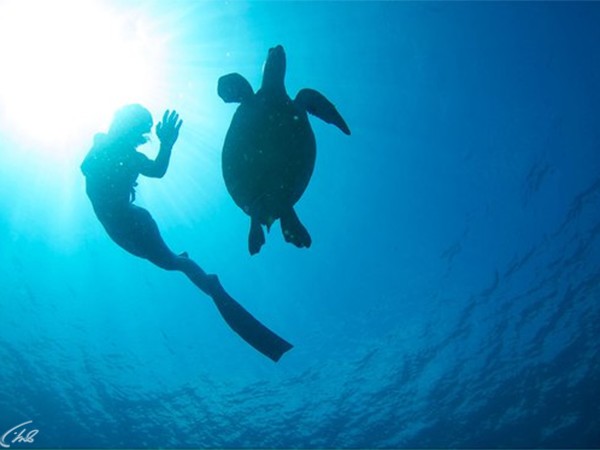 Затаив дыхание (2)