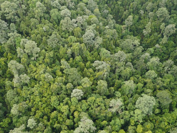 Невероятные экосистемы