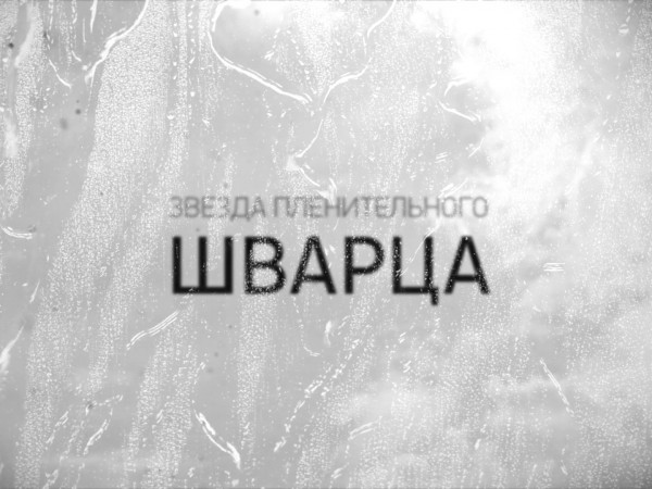 Звезда пленительного Шварца