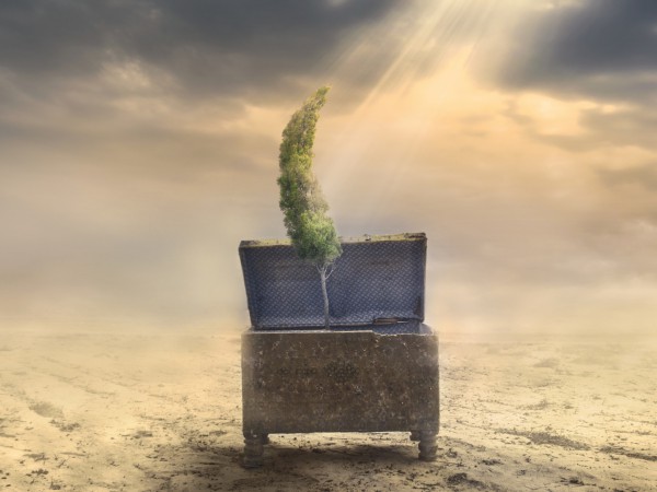 Инновация в сушке