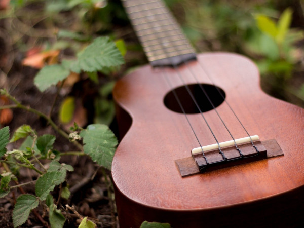 Оркестр Covent Garden Sinfonietta