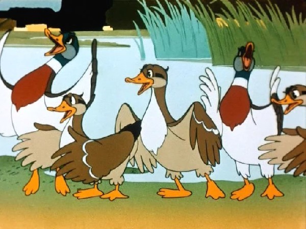 Лягушка-путешественница (5)