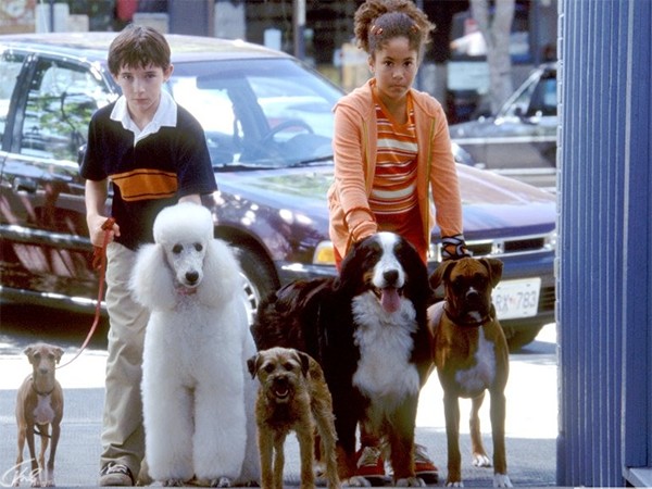 Лохматый спецназ