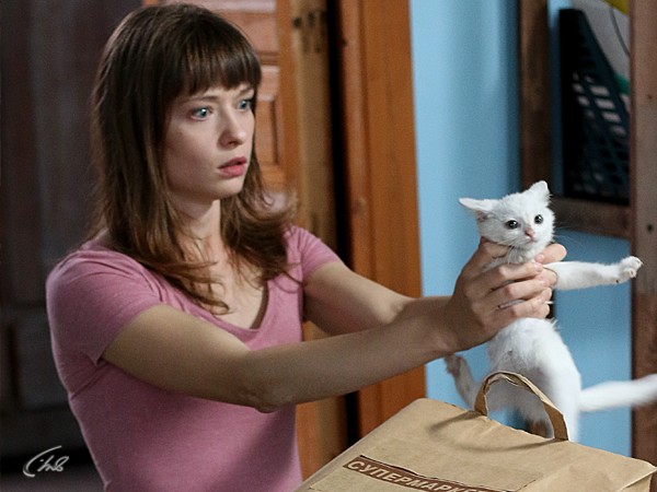 Котов обижать не рекомендуется