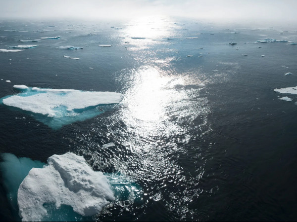 Когда океаны угрожают городам