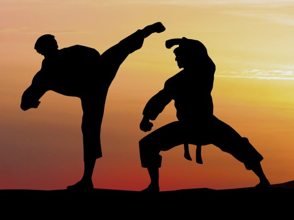 Сумо. Карате. Международный фестиваль единоборств и боевых искусств. Кубок равноапостольного Николая Японского