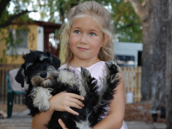 Мама напрокат (2)