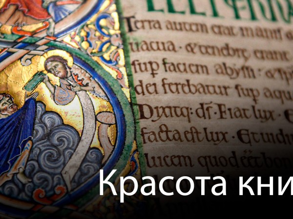 Красота книг