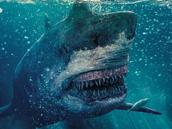 Ядовитая акула