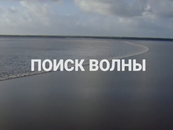 Поиск волны