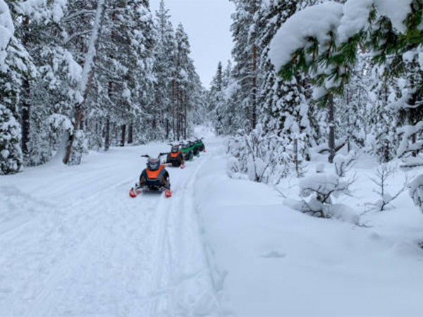 Вот такие снегоходы