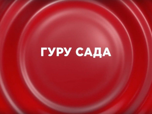 Гуру сада (2)