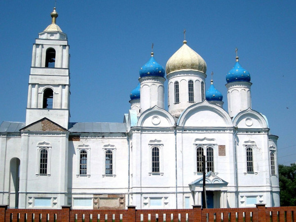 Суджа. Мы выжили