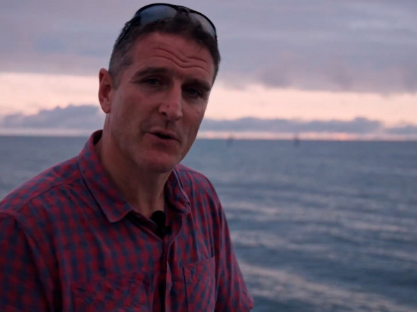 Подводный мир: жизнь на рифе