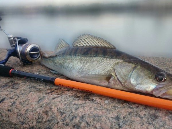 Дикий ручей