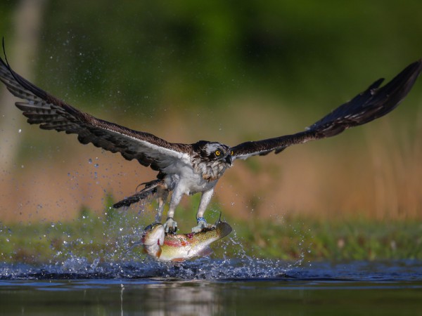 На хуторе Бундин