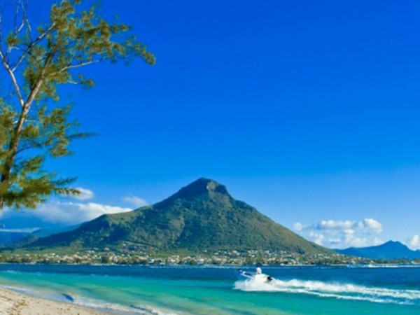 252 дня одиночества