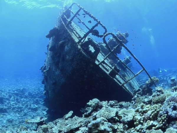 Тайная история кораблекрушений