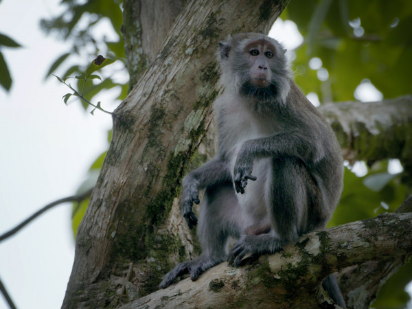 Крепкие семейные узы