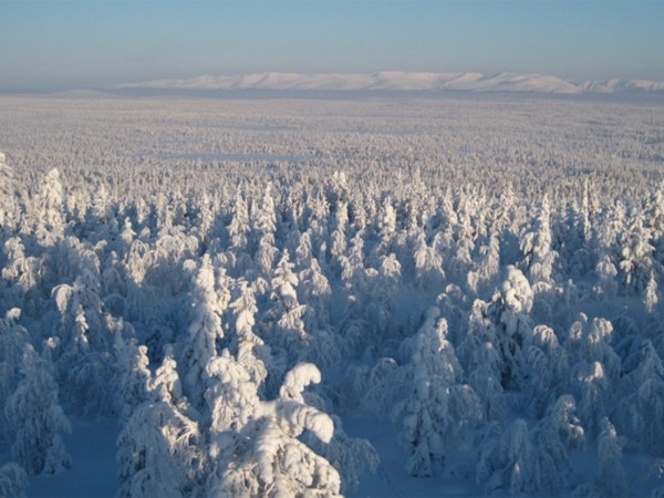 На север в поисках счастья
