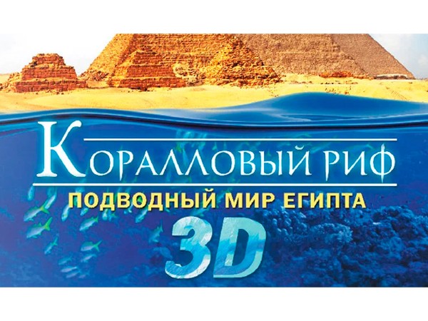 Коралловый риф. Подводный мир Египта (2)