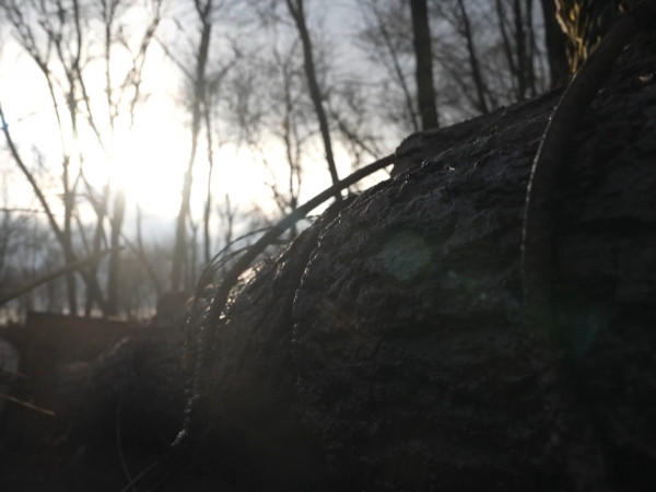 Общими молитвами