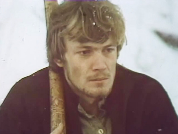 Раскиданное гнездо