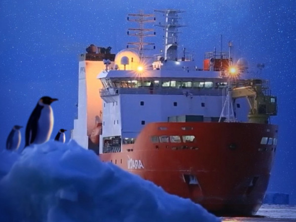 Семь лет в Антарктиде