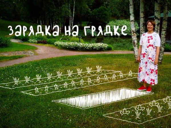 Зарядка на грядке